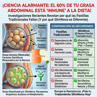 SlimNova™ Parches Naturales que ayudan a Quemar Grasa y Disminuir la Ansiedad por Comer