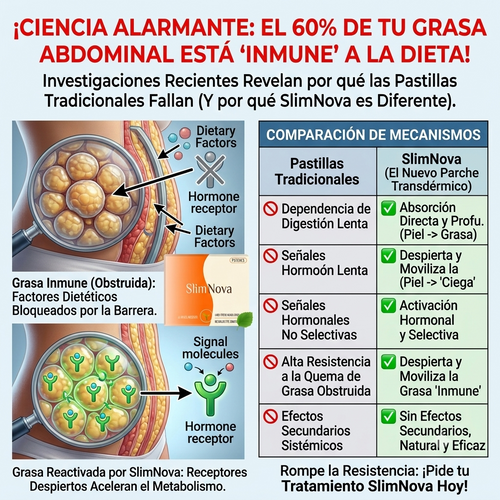 SlimNova™ Parches Naturales que ayudan a Quemar Grasa y Disminuir la Ansiedad por Comer